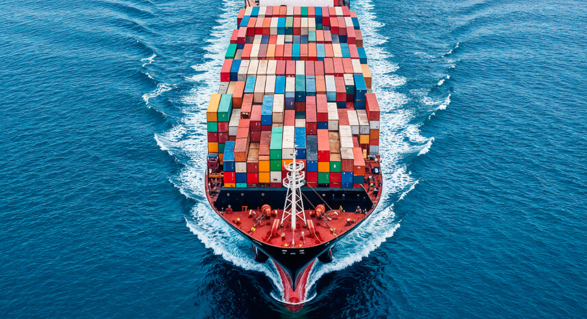 Export Clearance